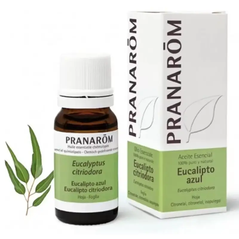 Aceite esencial Eucalipto azul 10 ml. Pranarom