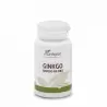 Ginkgo biloba 100 comp. Plantapol
