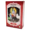 Henna color Caoba luminoso polvo 100 gr. Radhe shyam