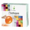 Nodagas 48 perlas Novadiet