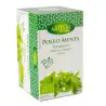 Poleo menta Bio 20 filtros Artemis
