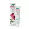 Crema Echinacea 35 gr. A.Vogel