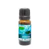 Aceite vegetal Moringa primera presión en frío Bio 30 ml Natura premium