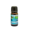 Aceite Esencial Eucalipto Bio 10 ml Natura Premium – Frescura balsámica natural
