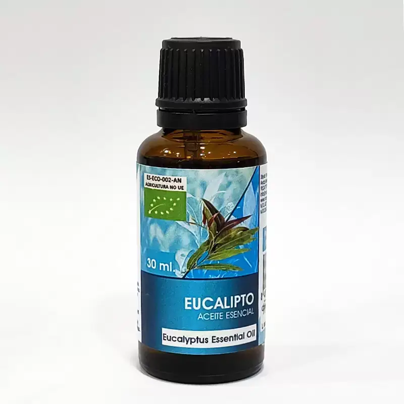 Aceite Esencial Eucalipto Bio 30 ml Natura Premium – Frescura balsámica natural