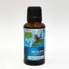 Aceite Esencial Eucalipto Bio 30 ml Natura Premium – Frescura balsámica natural