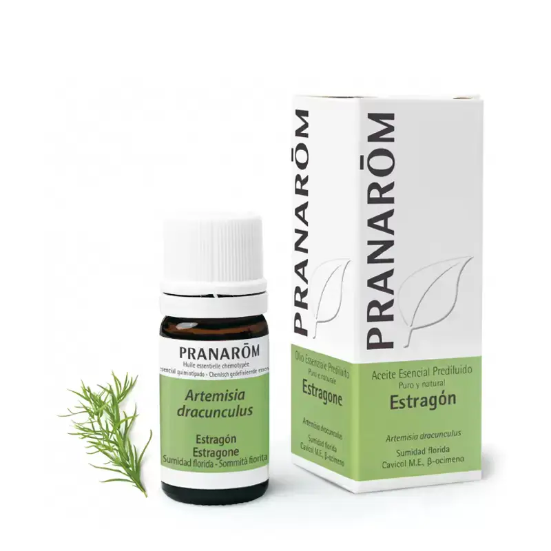 Aceite Esencial Estragón Prediluído 5 ml Pranarôm – Aroma anisado y bienestar natural