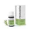 Aceite Esencial Estragón Prediluído 5 ml Pranarôm – Aroma anisado y bienestar natural