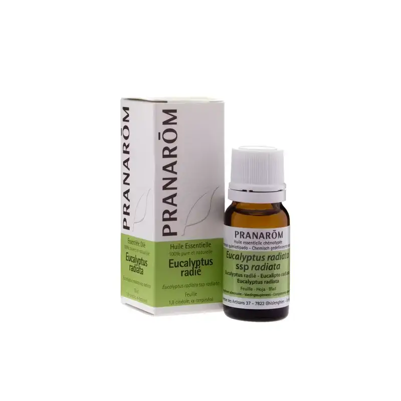 Aceite Esencial Eucalipto Radiata Pranarôm 10 ml – Aromaterapia