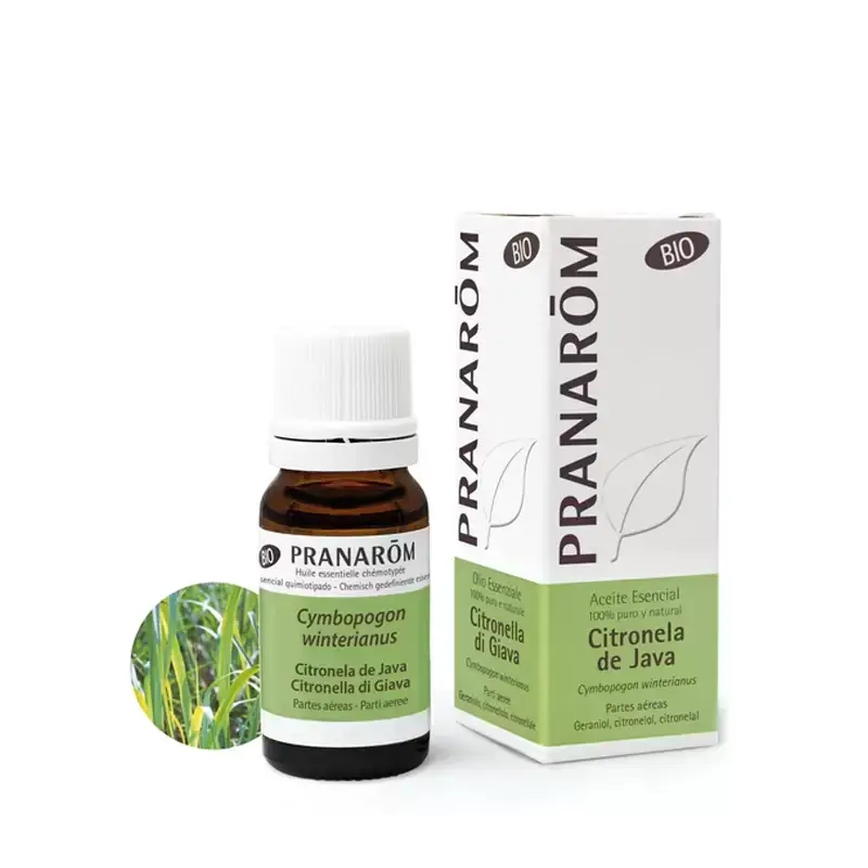 Aceite Esencial Citronela de Java Bio 10 ml Pranarôm – Frescura cítrica y bienestar natural