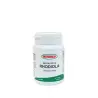 Rhodiola Extracto Seco 150 mg Integralia – Energía y resistencia al estrés
