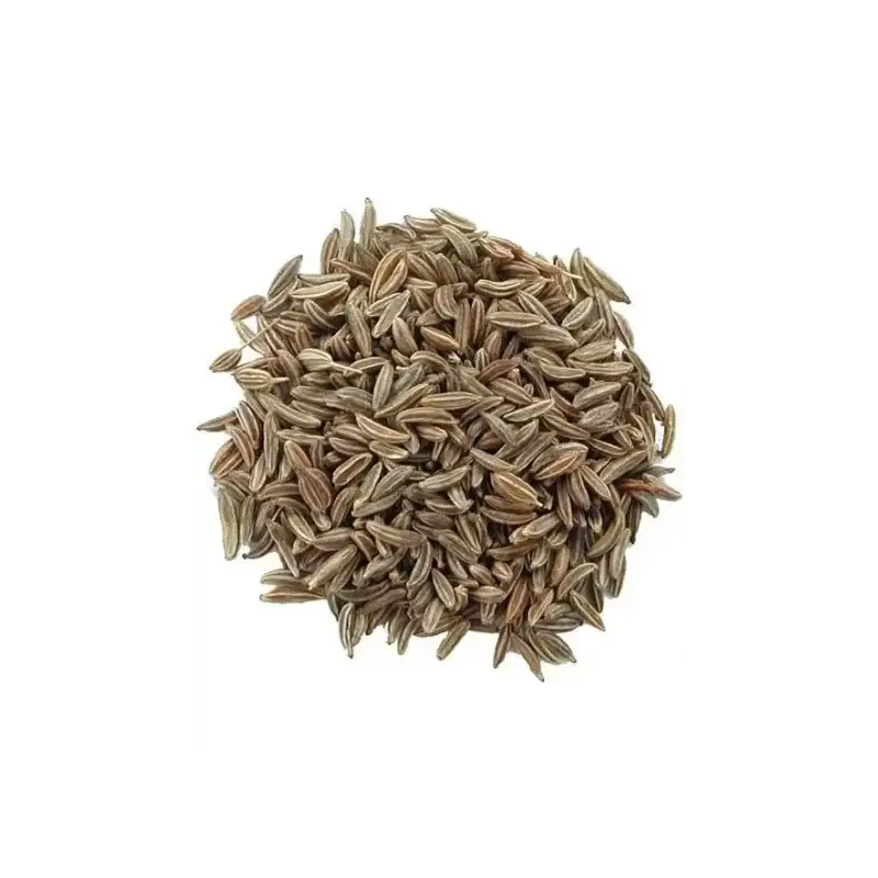 Alcaravea Semillas 50 g Novadiet – Planta a granel para favorecer la digestión