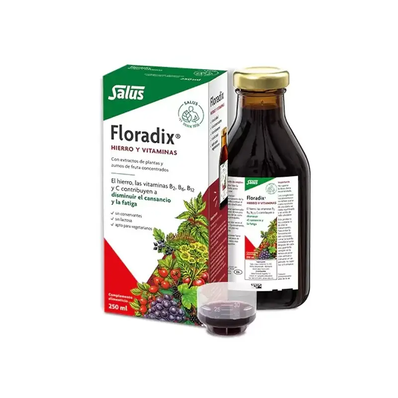 Floradix Hierro y Vitaminas 250 ml Salus – Energía y reducción del cansancio.