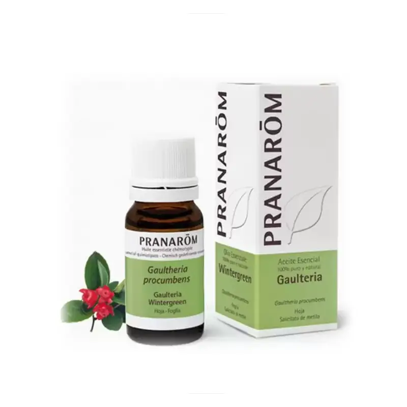 Aceite Esencial Gaulteria 10 ml Pranarôm – Confort y masaje corporal