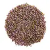 Brezo Brecina 60 g Novadiet – Planta a granel para favorecer el bienestar urinario
