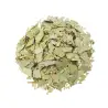 Eucalipto Hoja 60 g Novadiet – Planta a granel para las vías respiratorias
