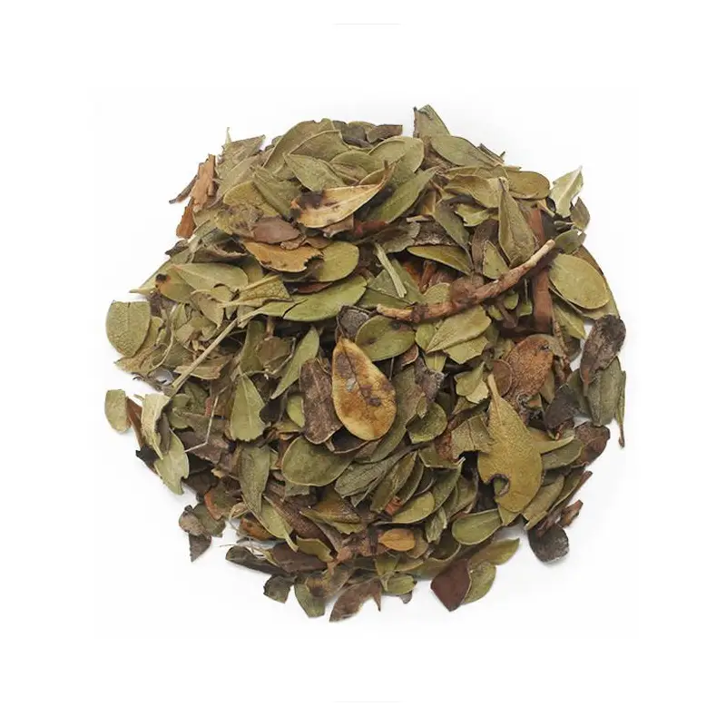 Gayuba Hojas 50 g Novadiet – Planta a granel para las vías urinarias