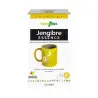 Herbodiet Jengibre Essence 20 filtros Novadiet – Bienestar digestivo