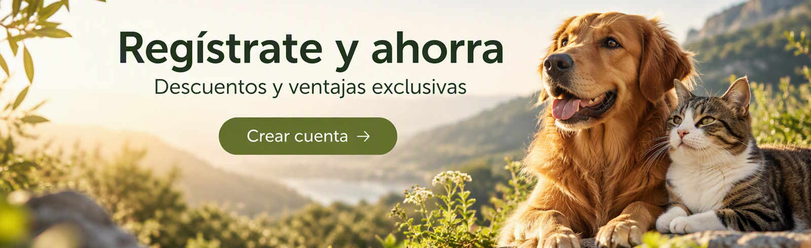 Cree una cuenta